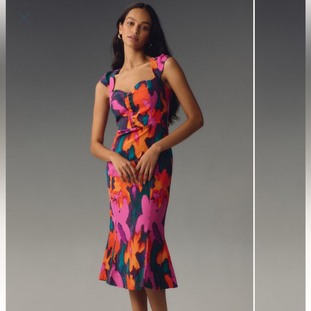 NWT Anthropologie Cecily Fit and Flare Dress - Floral Multicolor Midi Dress